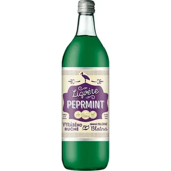 Likér Liqvére Peprmint 2l 20%