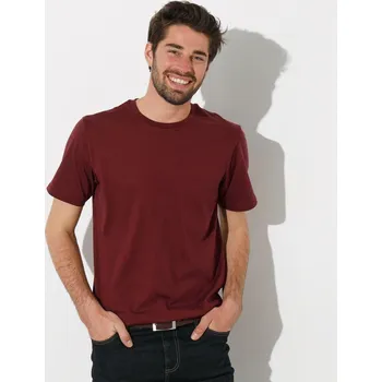 Pánské oblečení Sada 3 triček s kulatým výstřihem a krátkými rukávy bordó+nám.modrá+modrá 97/106 (L)