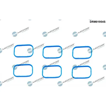 Těsnění motoru Sada těsnění, koleno sacího potrubí Dr.Motor Automotive DRM01954S