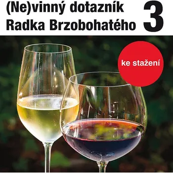 (Ne)vinný dotazník Radka Brzobohatého 3. Audiokniha