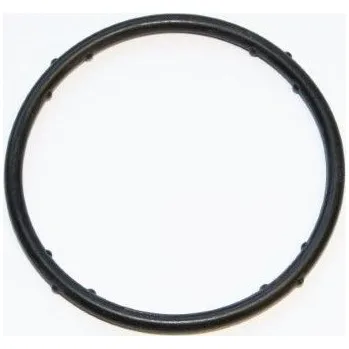 Chladič motoru Těsnění, příruba chladiva ELRING 625.270