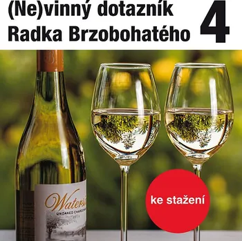 (Ne)vinný dotazník Radka Brzobohatého 4. Audiokniha