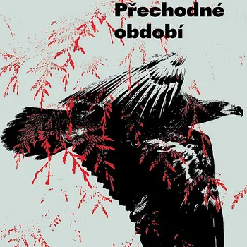 Kniha Přechodné období Ekniha