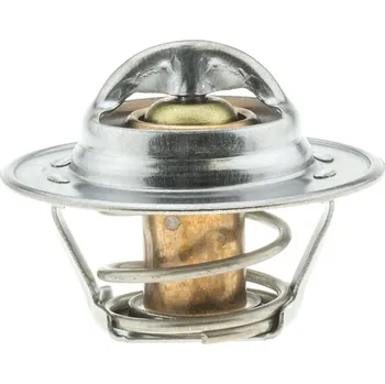 Těsnění motoru Termostat, chladivo MOTORAD 305-75K