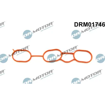 Těsnění motoru Těsnění, koleno sacího potrubí Dr.Motor Automotive DRM01746