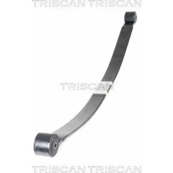 Paket pružin TRISCAN 8765 16055