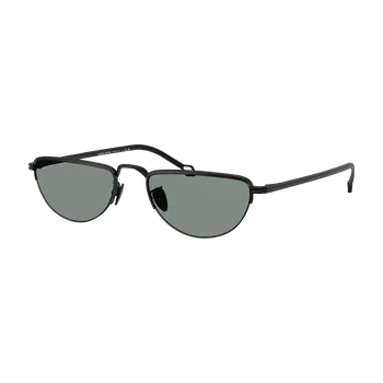 Sluneční brýle Sluneční brýle Giorgio Armani AR6166J 300111