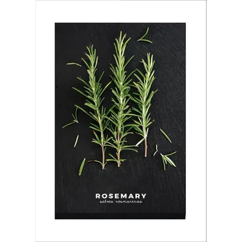Obraz Obraz 50x70 cm Rosemary – Styler ID_1531948