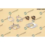 Sada těsnění, AGR systém DR.MOTOR DRM01346S