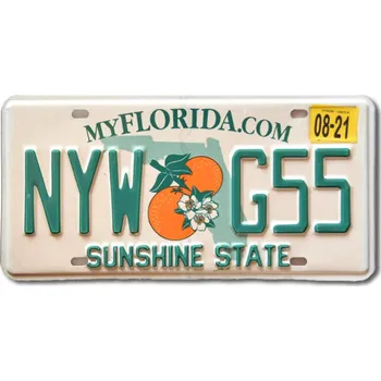 Plechová cedule Americká SPZ Florida My.com