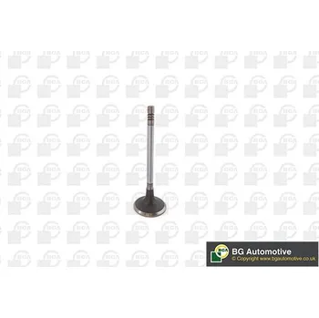 Ventil motoru Sací ventil BGA V232015