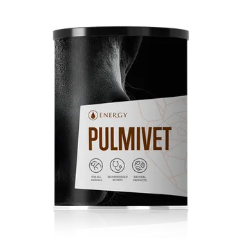 Přírodní produkt ENERGY Pulmivet