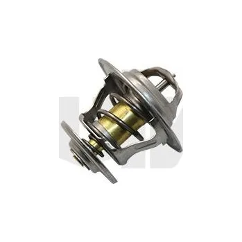 Těsnění motoru Termostat, chladivo VIKA 11210090501