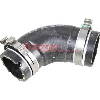 Motor automobilu Hadice chladiče METZGER 2420907