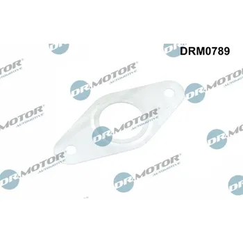 Těsnění, vedení AGR ventilu DR.MOTOR DRM0789