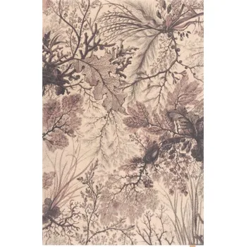 Koberec Koberec Agnella Calisia Maritime béžový