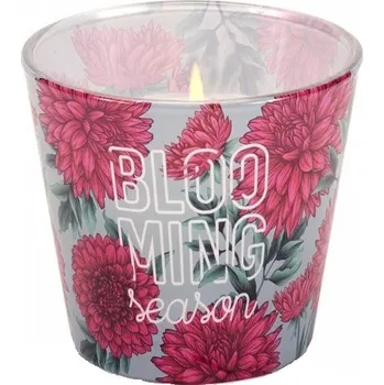 Svíčka Dahlia Blooming Season vonná svíčka BARTEK, 115g/ks
