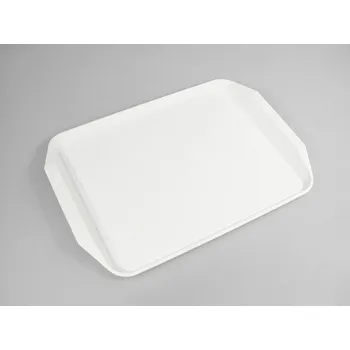 PLETATEX - Podnos Donald II 47,5x33,5x2cm různé barvy