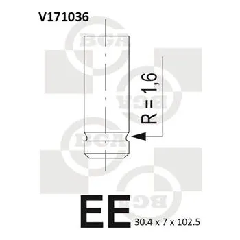 Ventil motoru Sací ventil BGA V171036