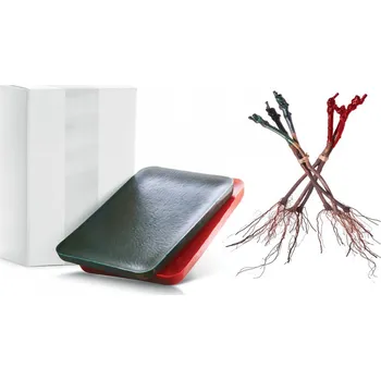 Speciální voskový blok Revilan, určený především na štěpování sazenic, 3 kg, zelený