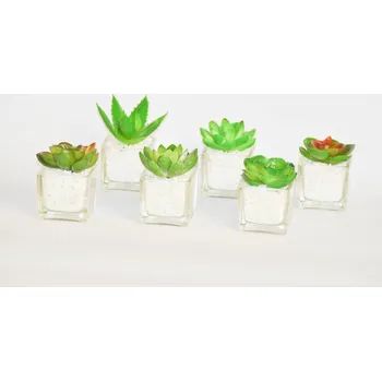 Kaktus ve skle s kamínky malý