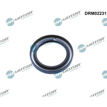 Těsnění motoru Těsnicí kroužek hřídele, klikový hřídel Dr.Motor Automotive DRM02231
