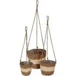 PROHOME - Květináč sada 3ks Cattail