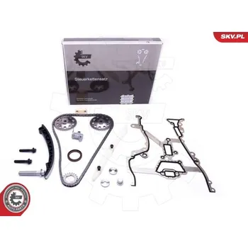 Rozvod motoru Sada rozvodového řetězu ESEN SKV 21SKV210