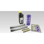 SADA PRO NÍZKÉ PRUŽENÍ -20MM R1200GS SP-BM12-SSL043B