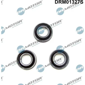 Auto-moto Těsnění, držák trysky Dr.Motor Automotive DRM01327S