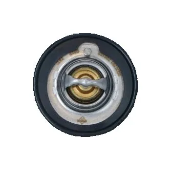 Těsnění motoru Termostat, chladivo NRF 725152