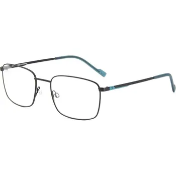 Sluneční brýle Eschenbach | Eschenbach Titanflex 820941 | šedá