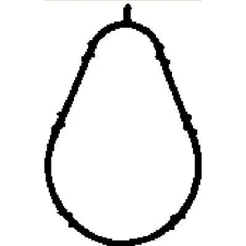 Automobilové těsnění Těsnění, koleno sacího potrubí BGA MG8560