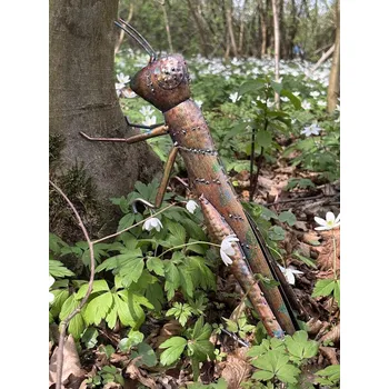 Obraz Zahradní dekorace kobylky