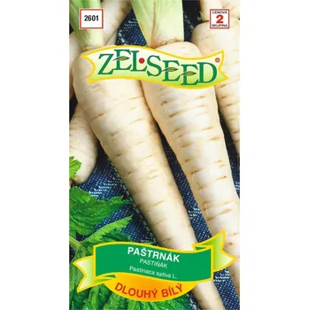 Semeno Semena - PASTINÁK DLOUHÝ BÍLY