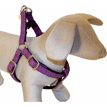 Postroj pro psa Postroj Mylord fialový 1,5x35-60 cm