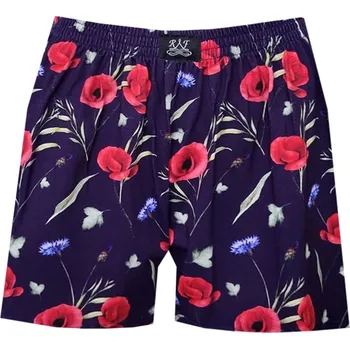 Trenýrky Dámské Trenýrky FOLTÝN DTR 145 Velikost: XL