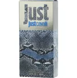 Roberto Cavalli Just Cavalli Him 2013 EDT 90 ml M