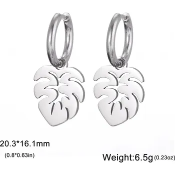 Náušnice Náušnice monstera z chirurgické oceli | šperk 2 ks - Barva oceli