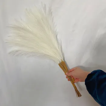 umělá květina 10 ks Pampová tráva boho dekorace do vázy a bytu | umělá květina, dekorace - Mléčně bílá