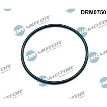 Palivový systém Těsnění, hrdlo škrtící klapky Dr.Motor Automotive DRM0750