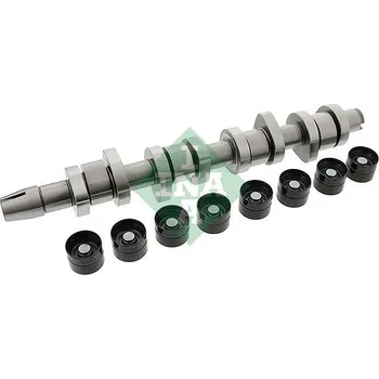 Vačková hřídel Sada vačkového hřídele Schaeffler INA 428 0042 30