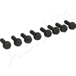 Šroub, setrvačník ASHIKA 54-02-200