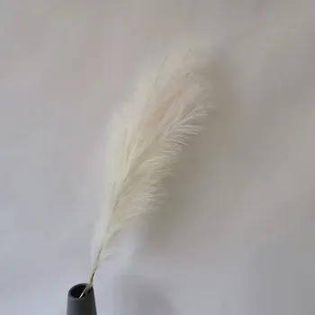 umělá květina Umělá pampová tráva boho do bytu i na svatbu | pampová tráva, boho dekorace - Mléčně bílá
