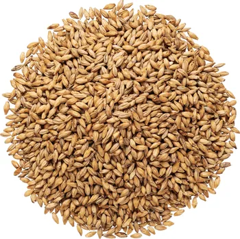 Plzeňský slad šrotovaný