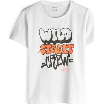 Chlapecké oblečení GATE Bavlněné tričko s potiskem 10Y 425-0739/10