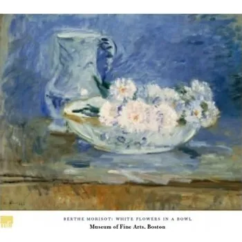 Fototapeta Bílé Květiny plakát obraz 80x60cm