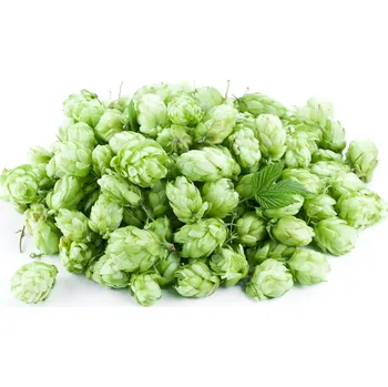 výroba alkoholu Sládek chmel