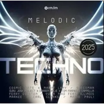 Hudba LP Various: Melodic Techno 2025 2025