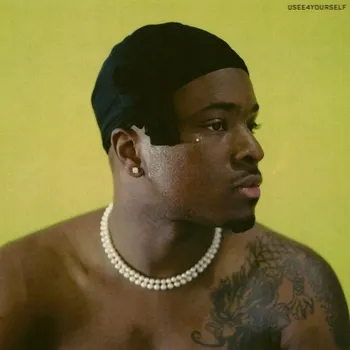 Zahraniční hudba USEE4YOURSELF IDK Vinylová Deska